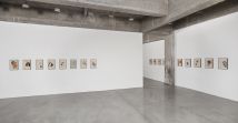 “Transition” installation view Tanya Bonakdar Gallery/New York